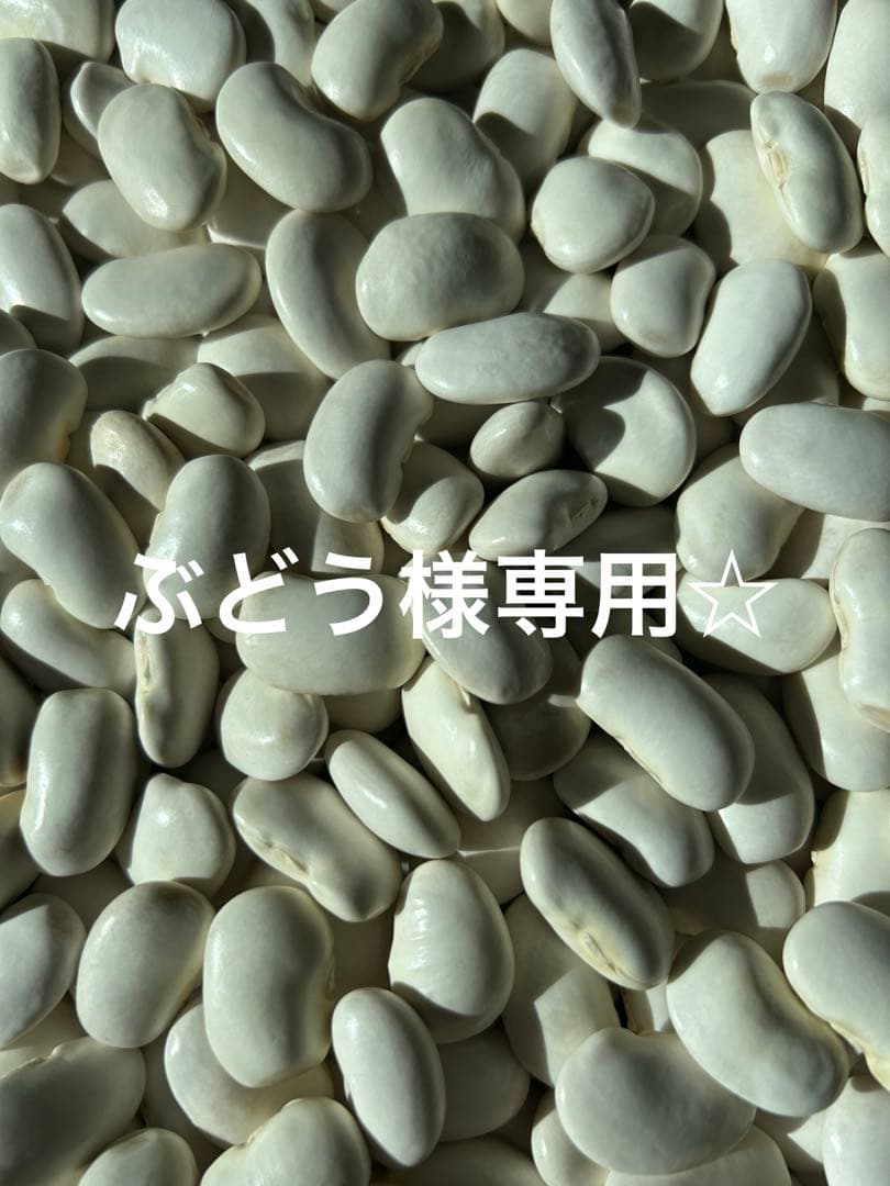 ぶどう☆