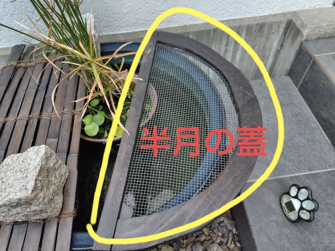 睡蓮鉢の蓋