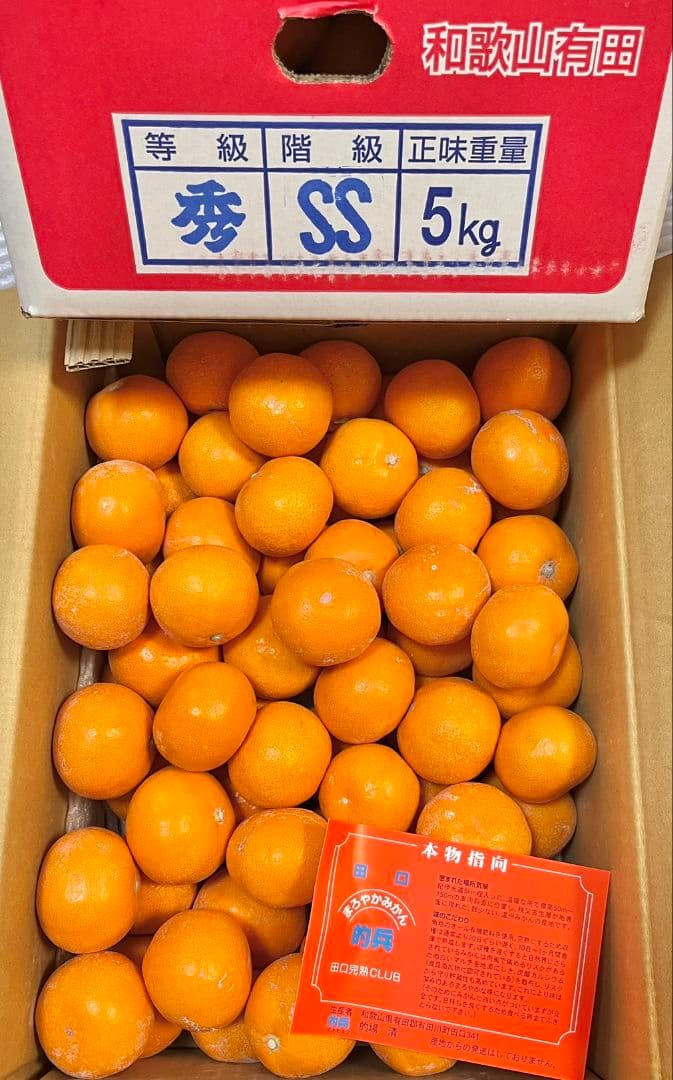 日本一！！　的兵みかん青秀品2s　5000g