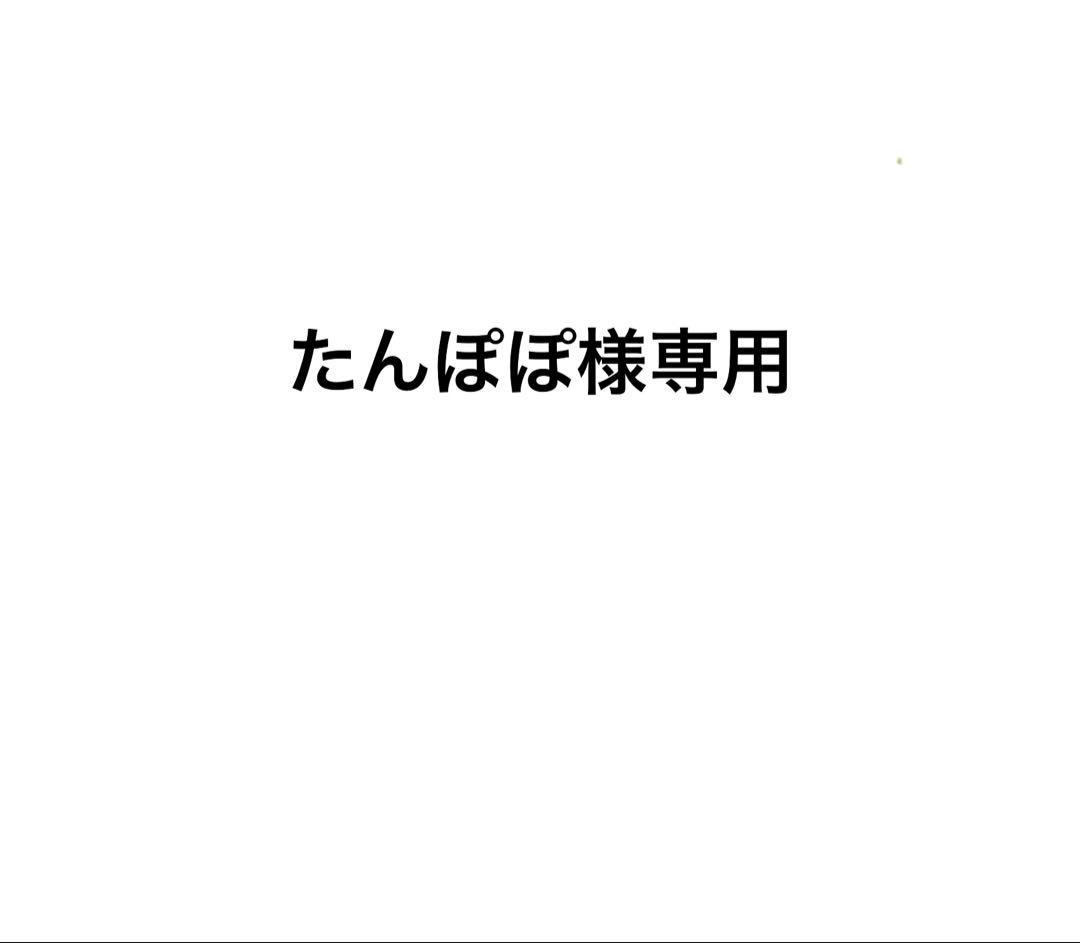 たんぽぽ☆ご当地キティ10点