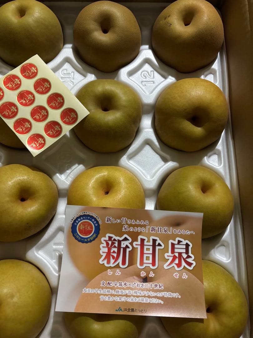 レン。
