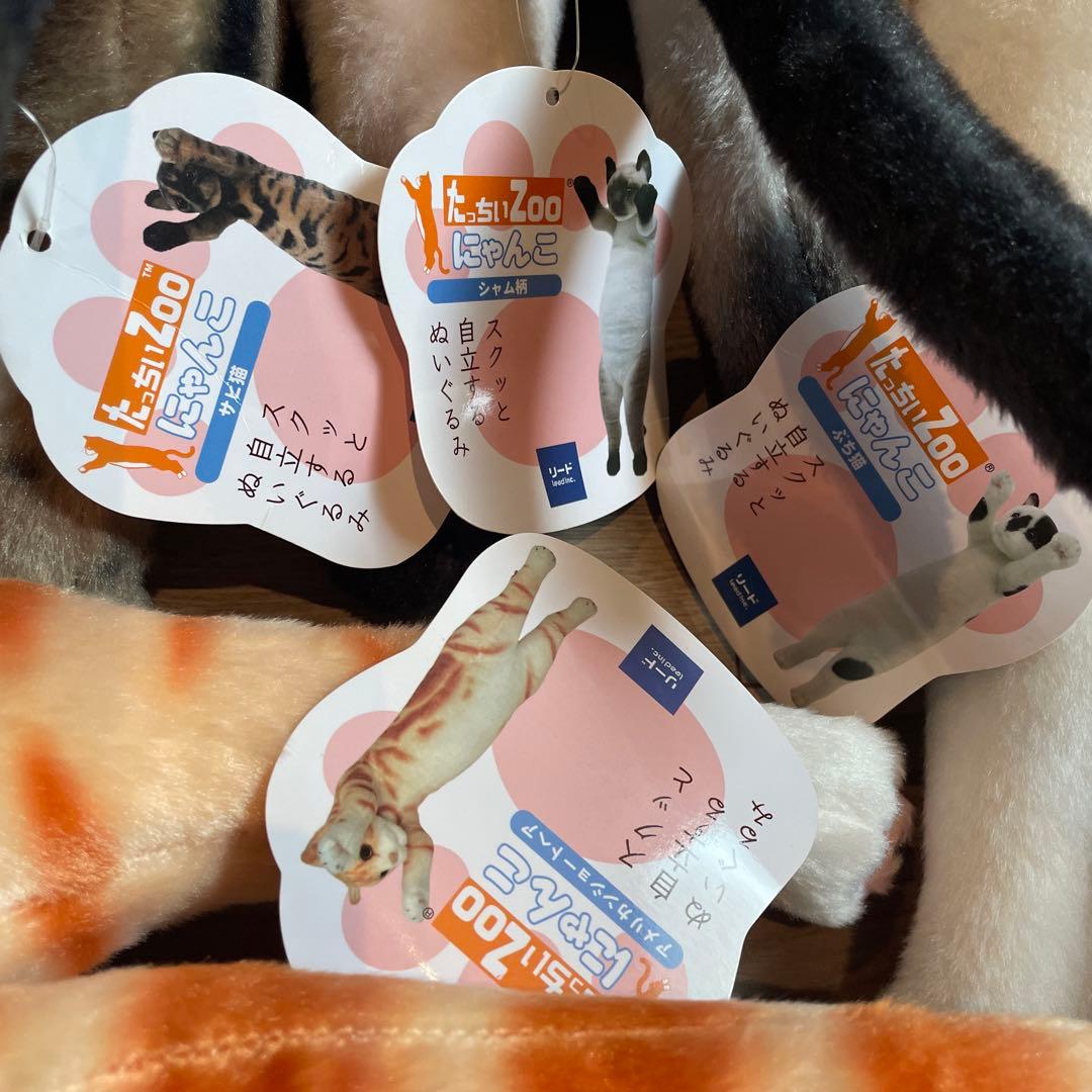 たっちい　Zoo にゃんこ ぬいぐるみ まとめ売り 自立する猫　ぬいぐるみ