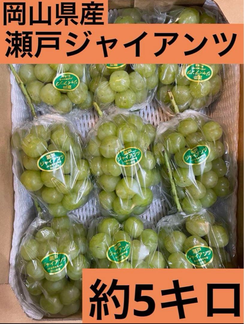 ⑩【岡山県産】瀬戸ジャイアンツ　7〜12房　約5キロ
