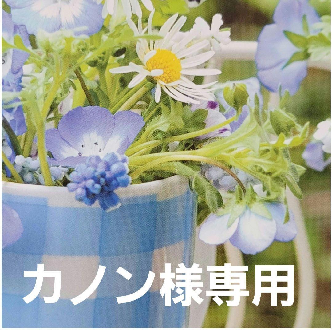 カノン　野菜