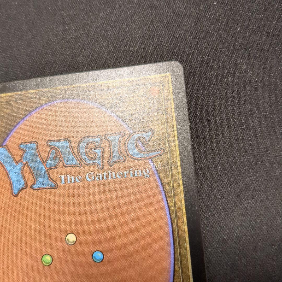 MTG 樹木茂る山麓 EXP 英語版 Foil