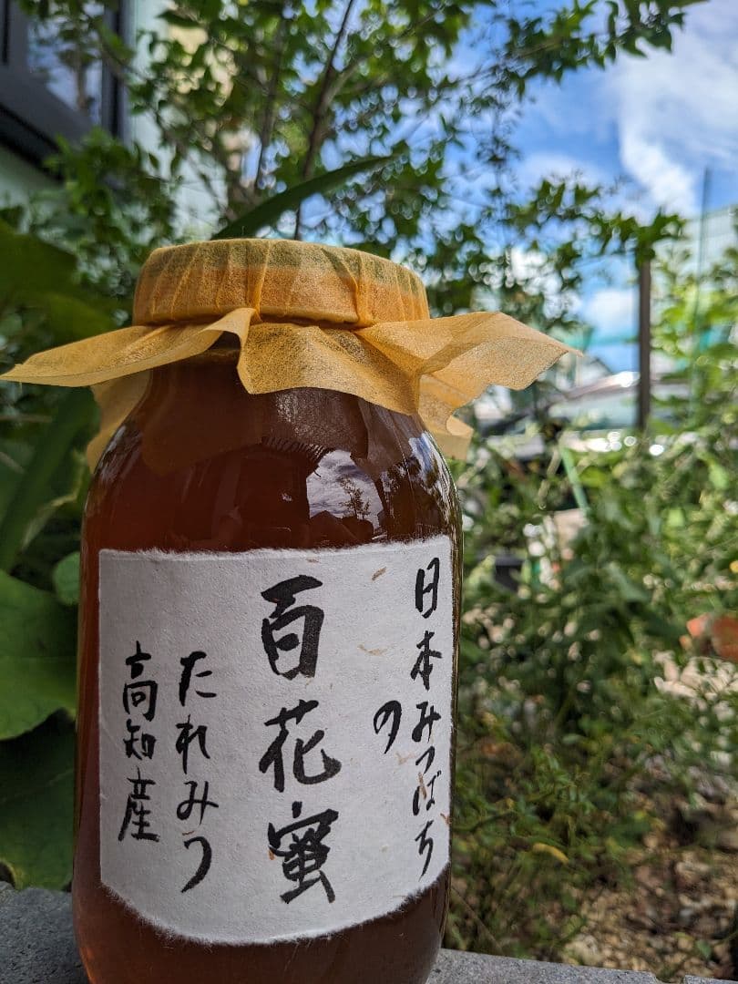 日本ミツバチ 蜂蜜 令和7年 採れたて 600g×4本 たれ蜜 非加熱　百花蜜