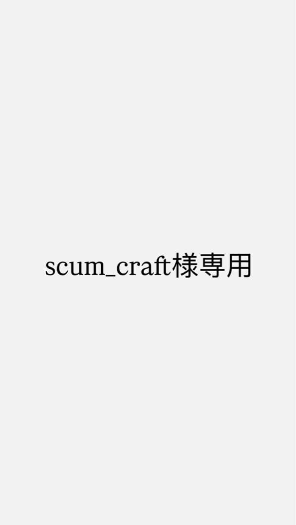 専用です。