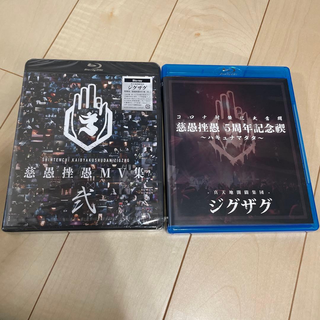 真天地開闢集団ジグザグ ライブ