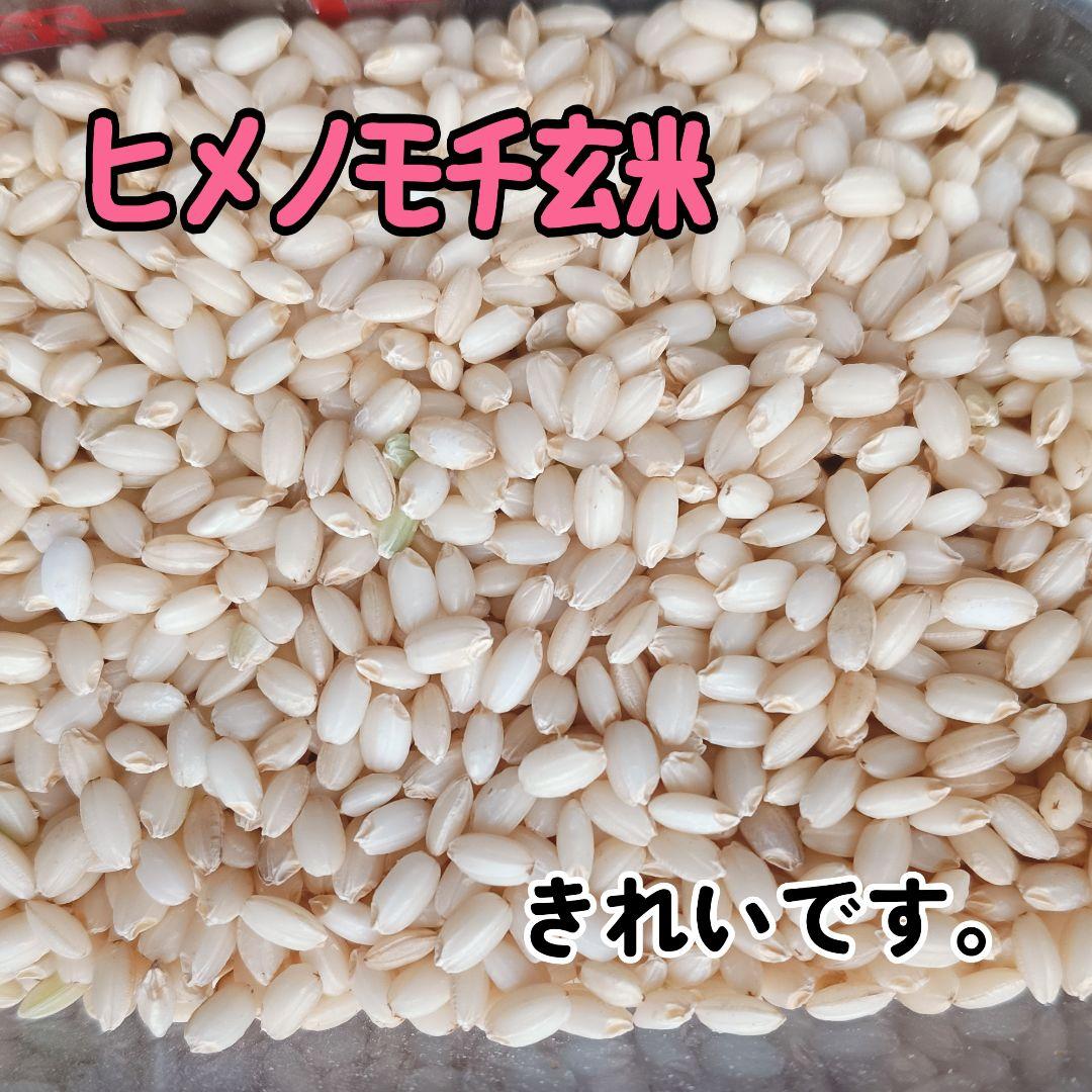 もち玄米■ヒメノモチ　20㎏(5kg×4袋)一等米☆農家直送