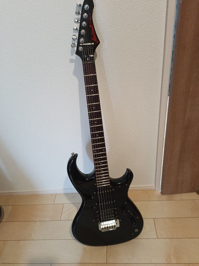 Aria pro ⅱ RS WILDCATシリーズ ブラック　エレキギター