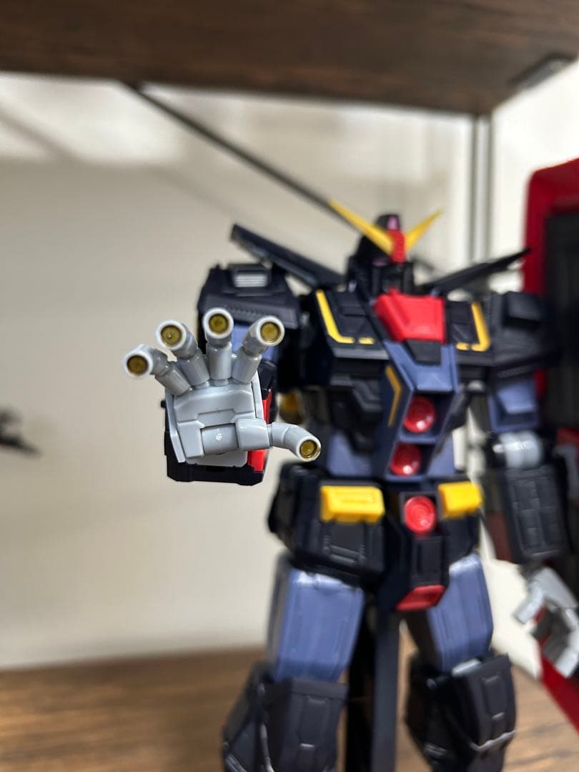 ネコ様用