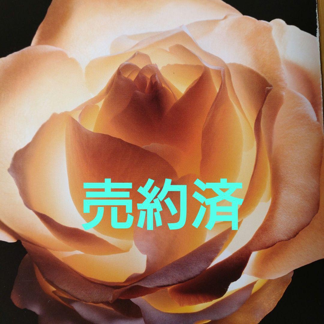 掛軸　竪物　古川大航（妙心寺22代管長）筆「遠山無限碧層々」　立花大亀極箱