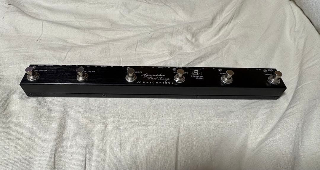 ギター one control Agamidae Tail Loop