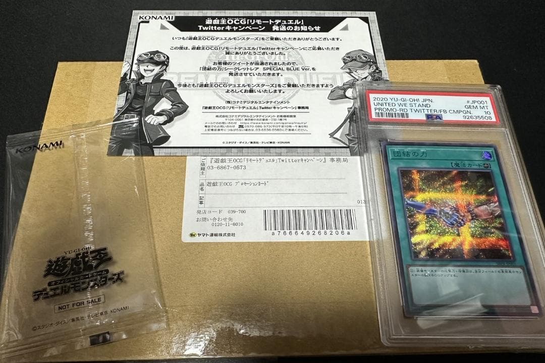 世界に１６枚！　団結の力　ブルシク　PSA10　ブルーシックレット付属品完品