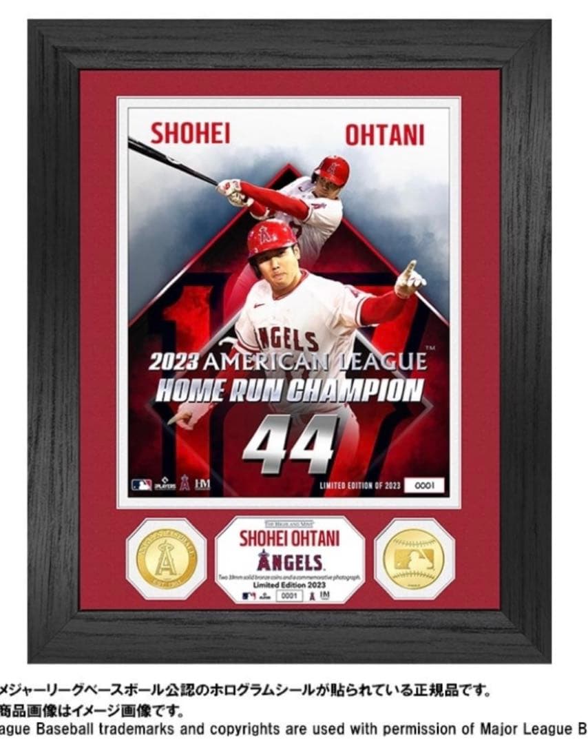 MLB公認 2023 ホームランキング受賞記念 ダブル フォトミント限定品
