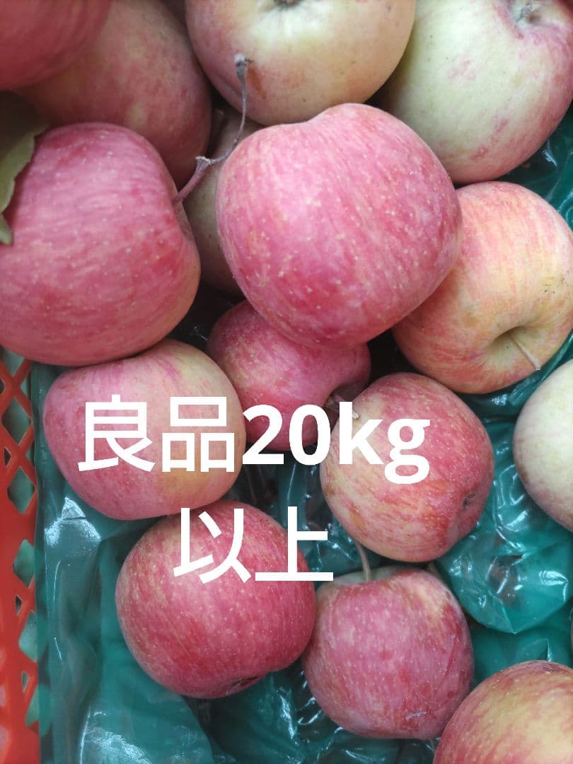 葉取らずサンフジ良品20kg以上 春になる前の値下げ中 限定残り僅か