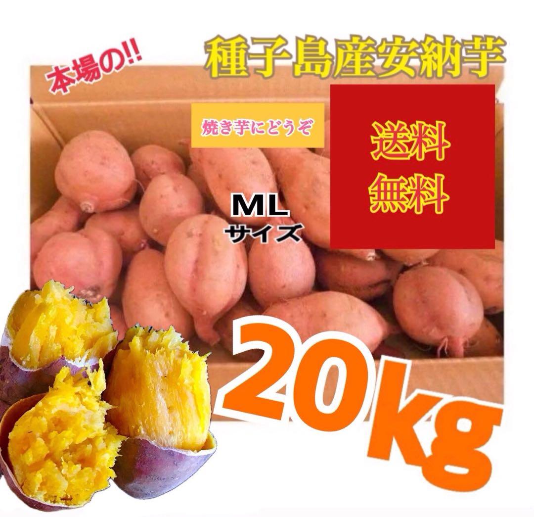 安納芋種子島産　20kg MLサイズ 焼き芋に最適　さつまいもの王道　#安納芋