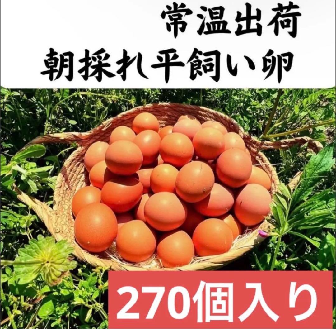 平飼い鶏卵 270個入り 大分県産