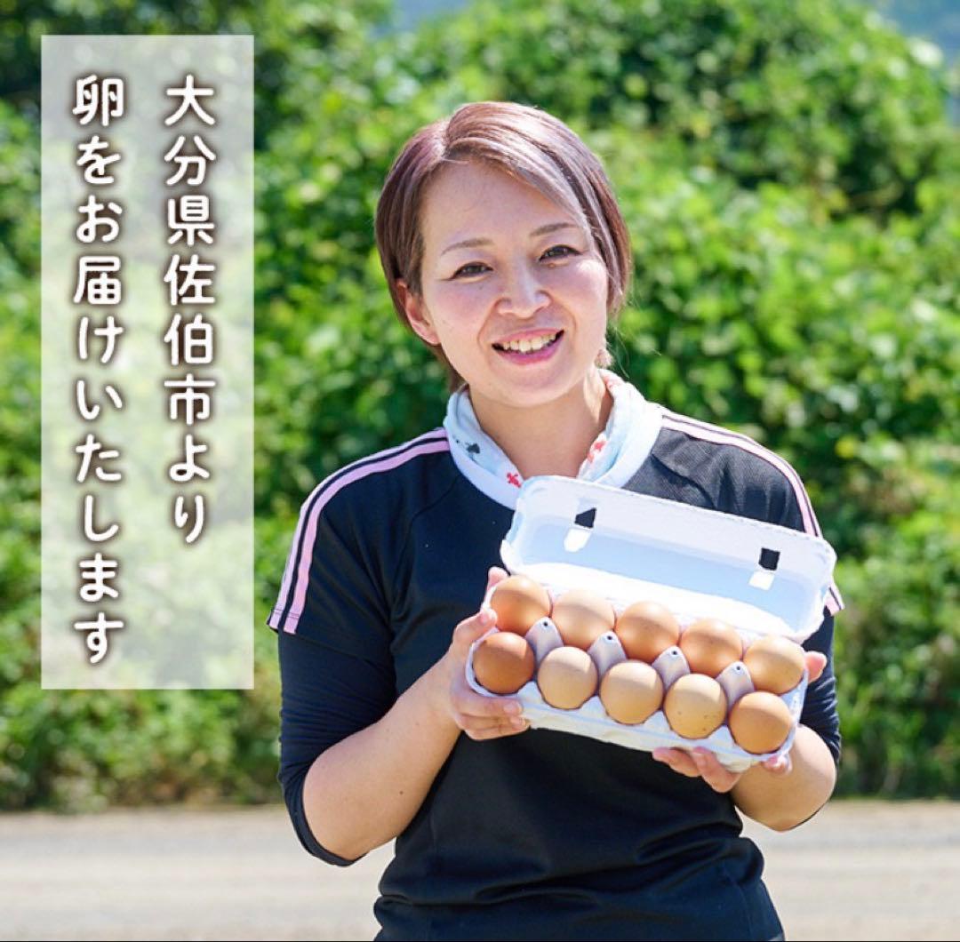 平飼い鶏卵 270個入り 大分県産