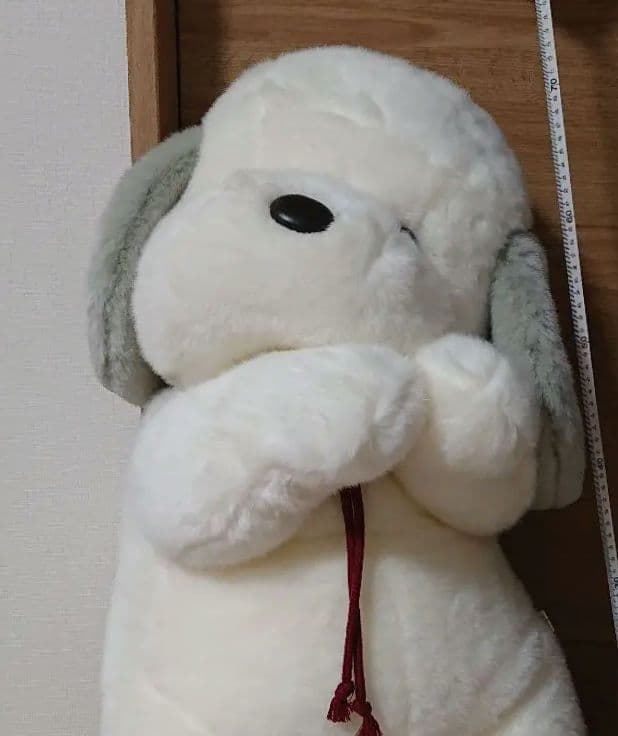 うめ吉 約70cm