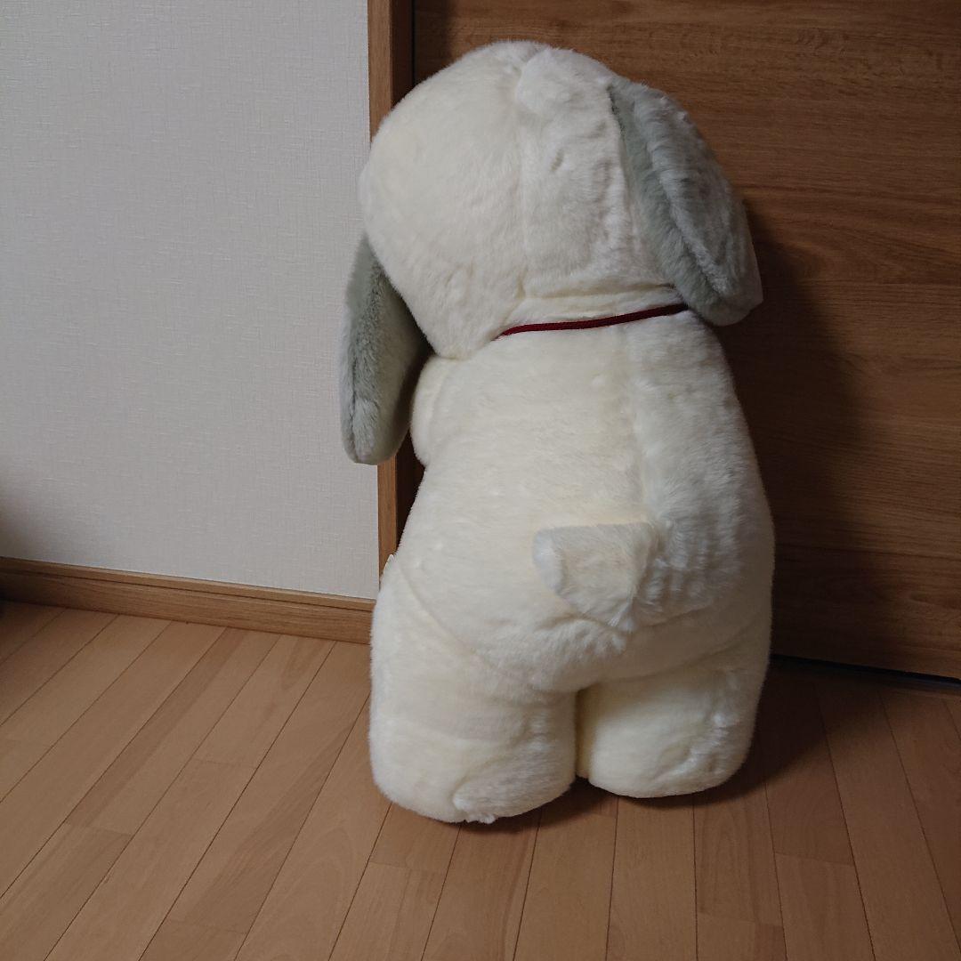 うめ吉 約70cm