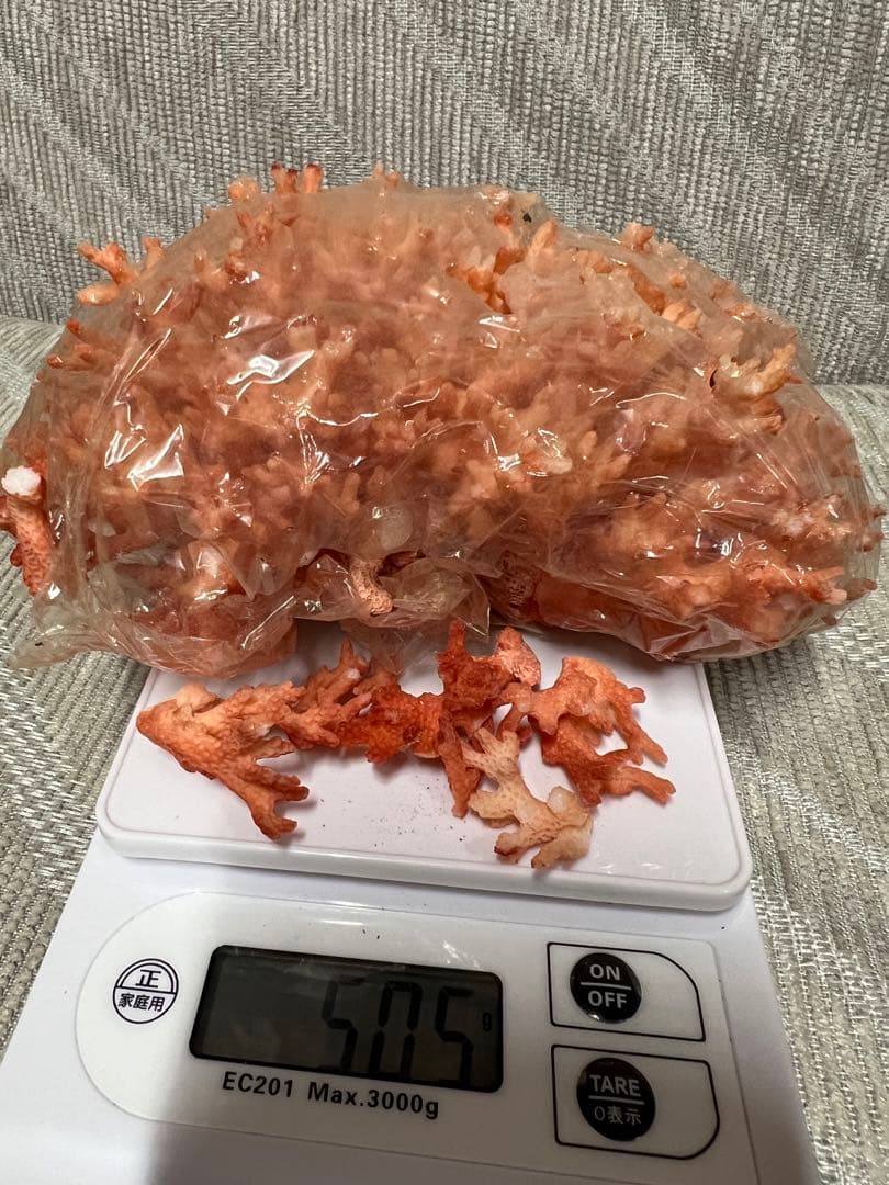 珊瑚