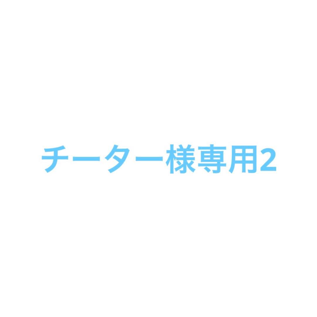 チーター2