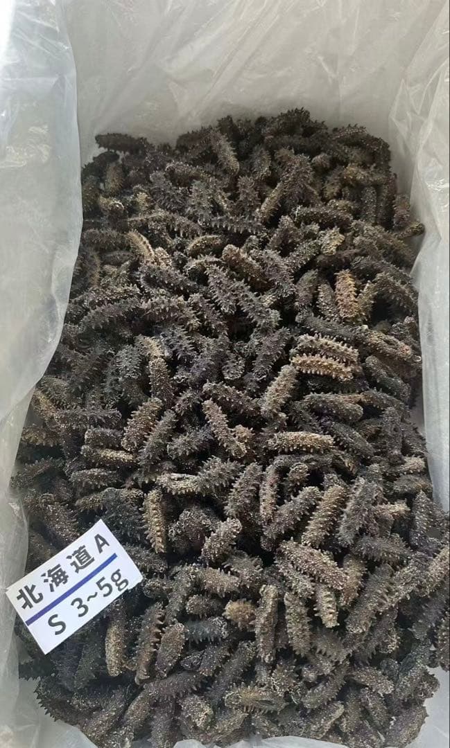 【北海道産】 乾燥なまこ 天然 厳選A級品200g S(5g以下