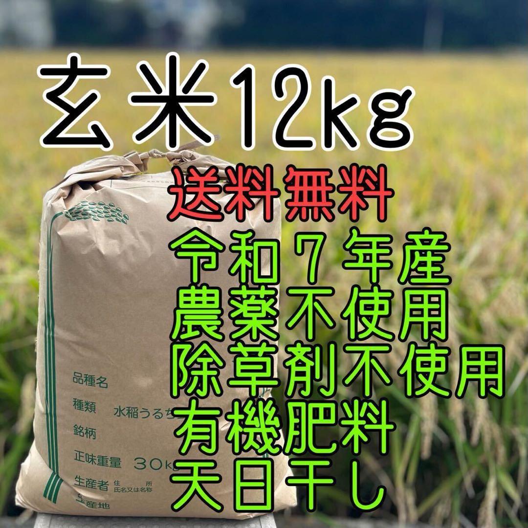 農家直送 玄米12㎏ 農薬不使用 有機栽培 天日干し お米 静岡より