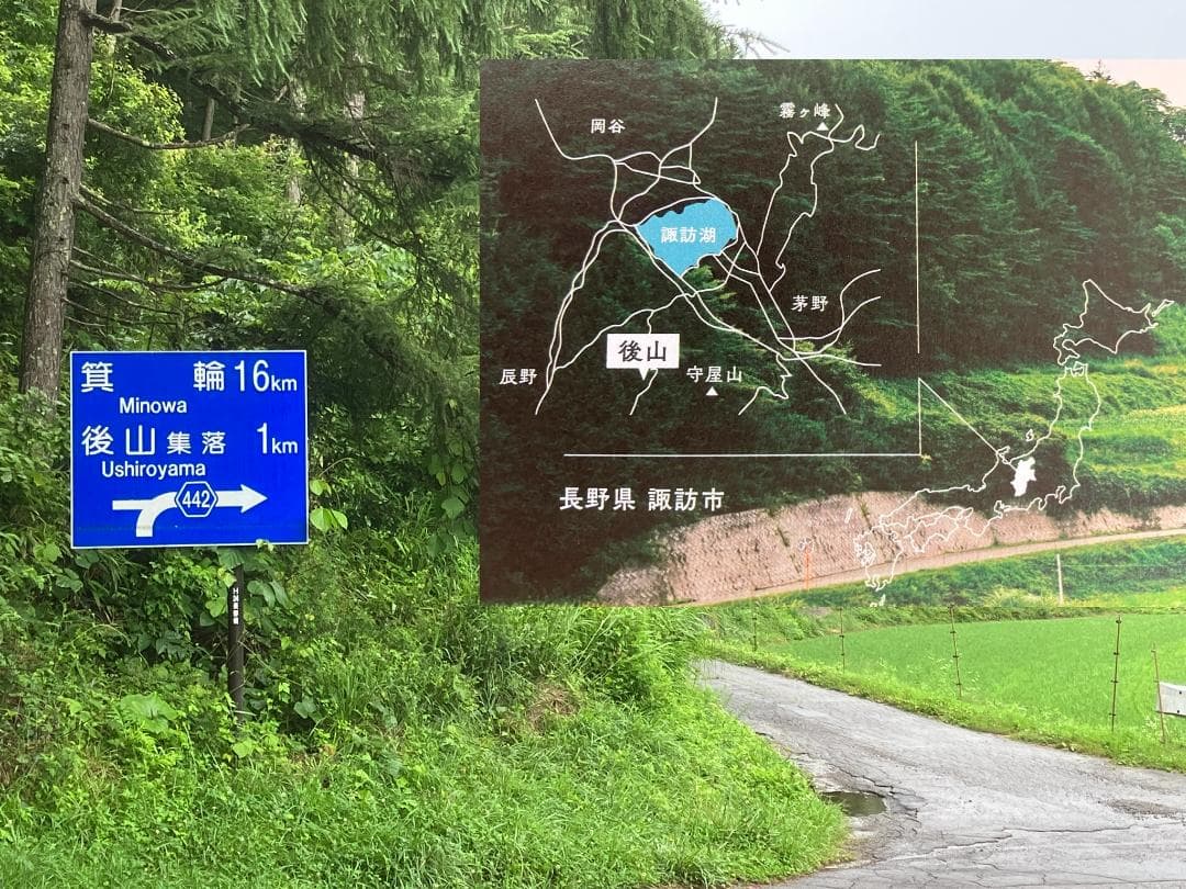 【Haruさま専用】 百花蜜 1000g 3本 長野県産 国産蜂蜜 はちみつ
