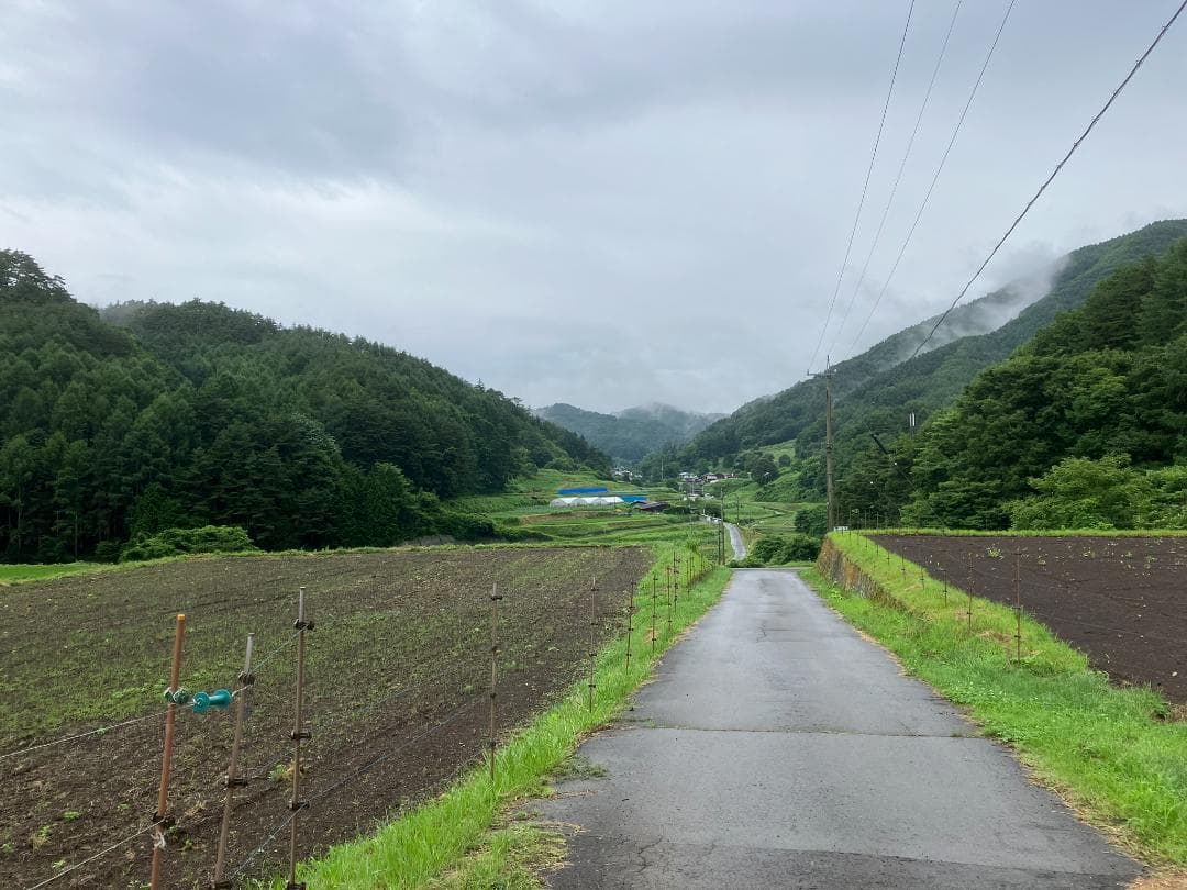 【Haruさま専用】 百花蜜 1000g 3本 長野県産 国産蜂蜜 はちみつ