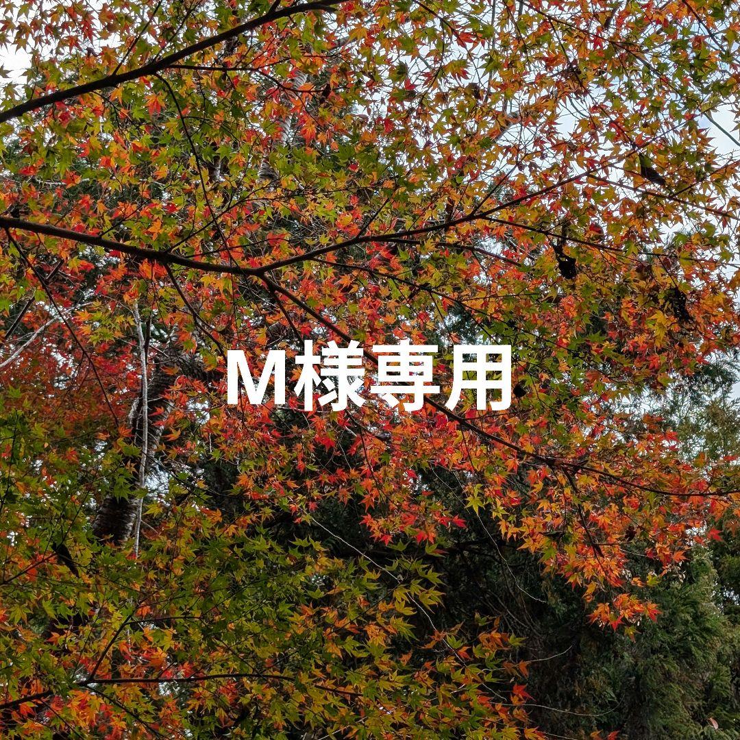 М