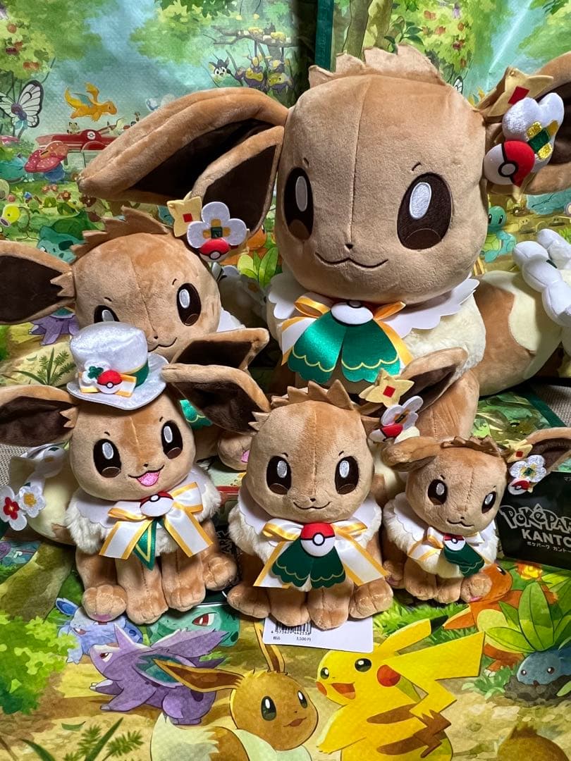 ポケパークカントー　 ショップ　限定 イーブイ　ぬいぐるみ5体セット