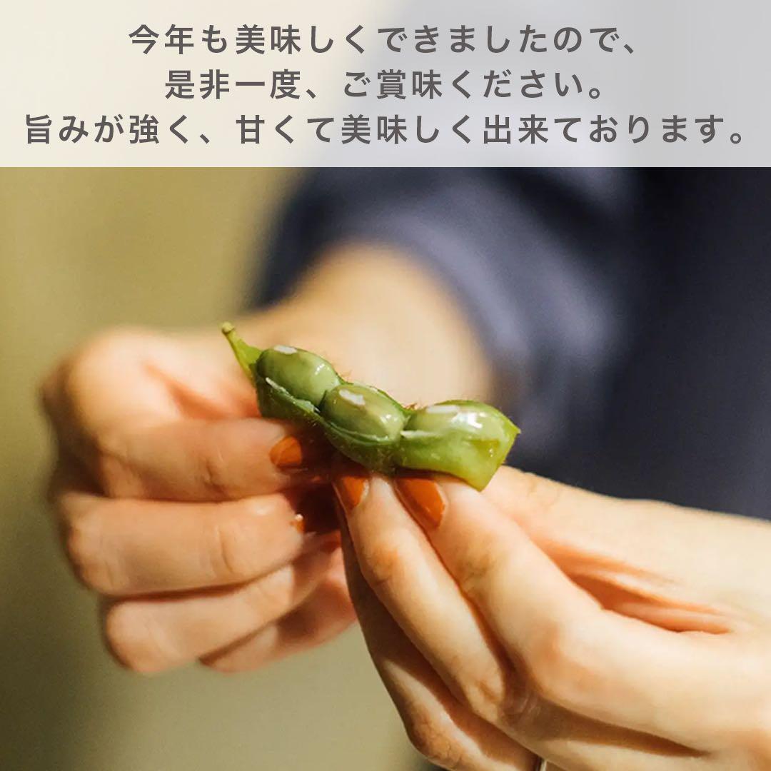 《新鮮》 兵庫県丹波篠山産　丹波黒枝豆　5キロ 低農薬栽培 黒大豆