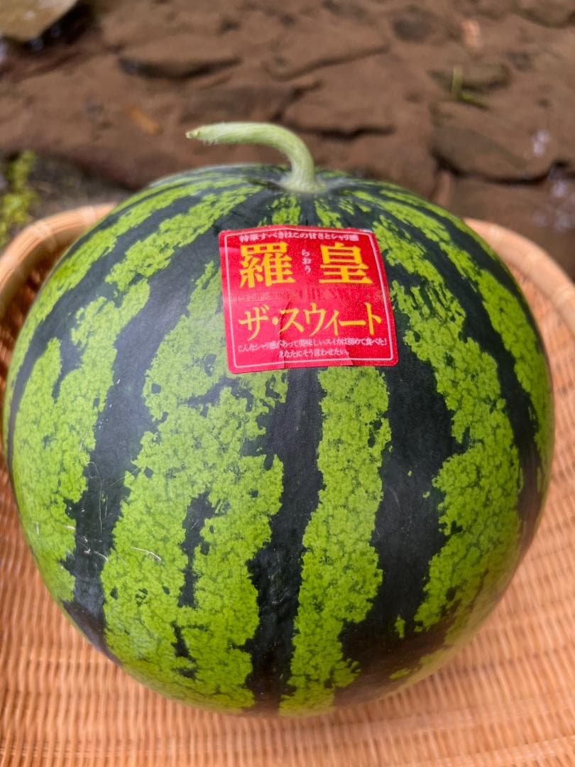 COCO出品