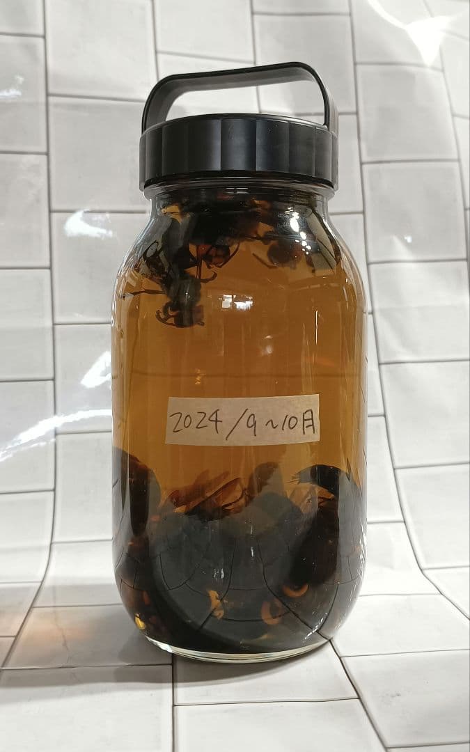 ③オオスズメバチ入り焼酎 900ml