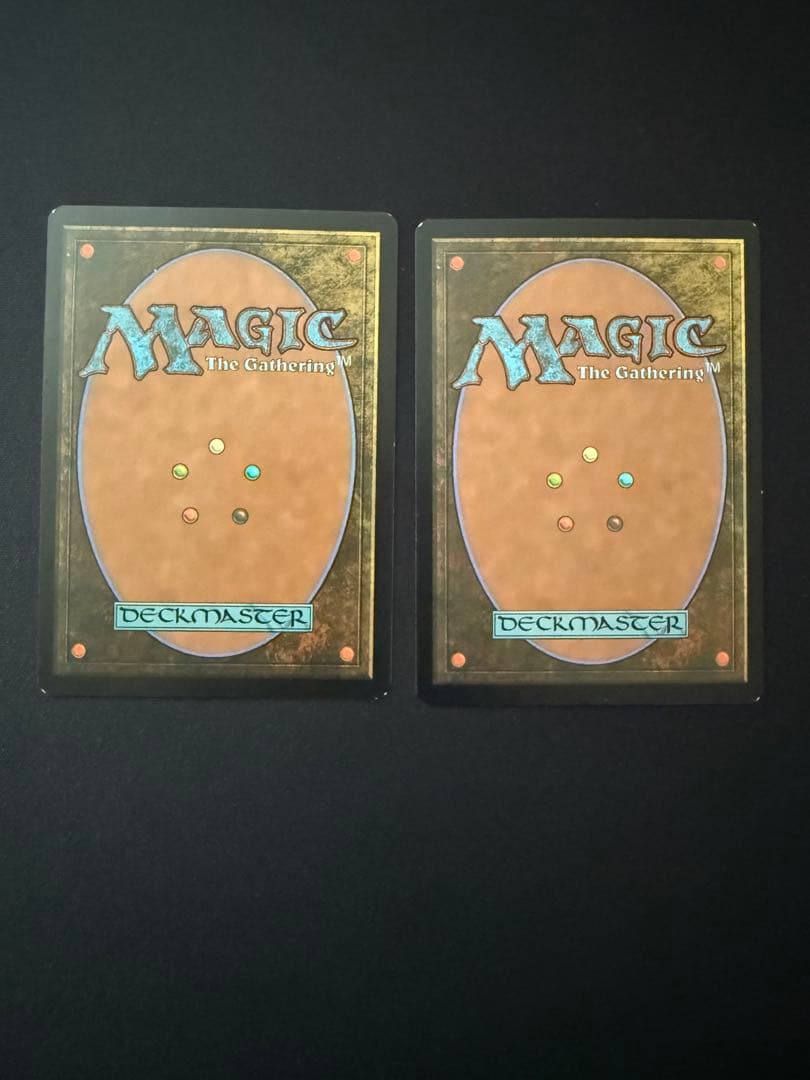 mtg 魂の洞窟　日本語2枚セット