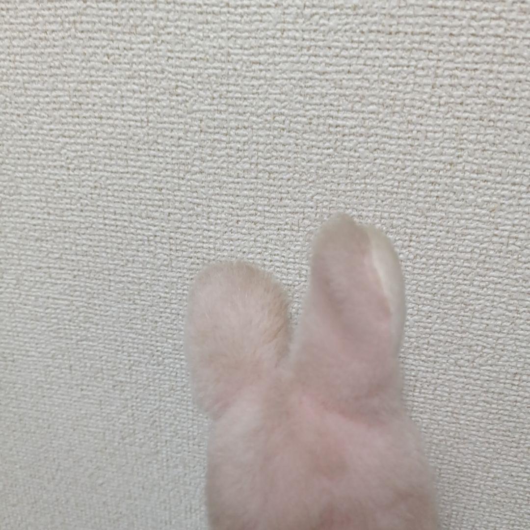 セキグチ ベビチッチのおともだち ウサギのミュウ