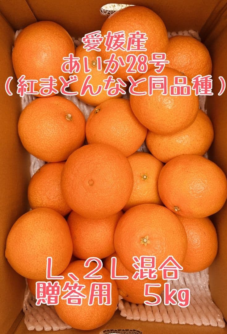 新春セール！ お得なセット2L、Ｌサイズ混合2箱計10キロ贈答に　あいか28号