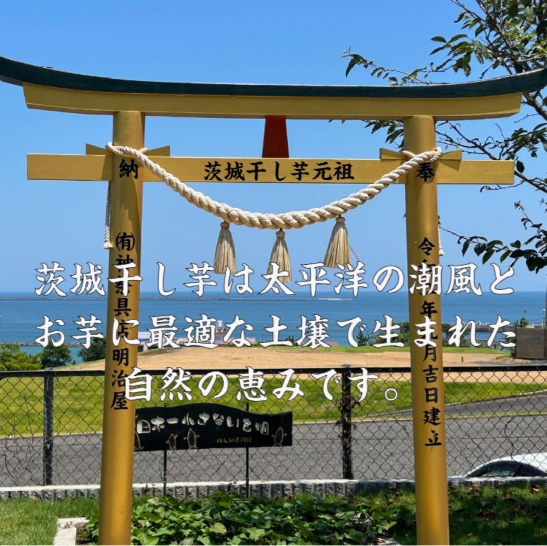 S4.5K茨城県産 柔らかい甘い黄金干し芋 訳あり紅はるか切り落とし4.5キロ