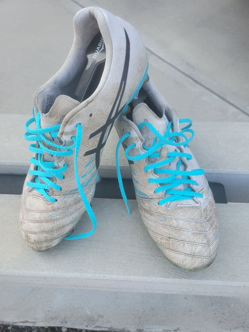 シューズ DS LIGHT X-FLY PRO LIMITED asics 25.5cm