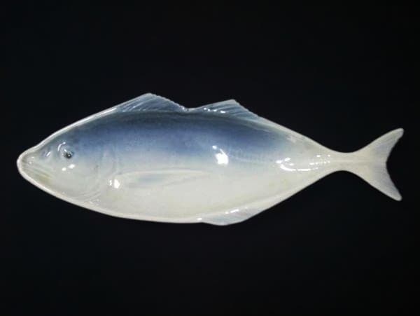 魚皿 アジ皿 刺身皿 染付 魚形皿セット 5枚 陶器製