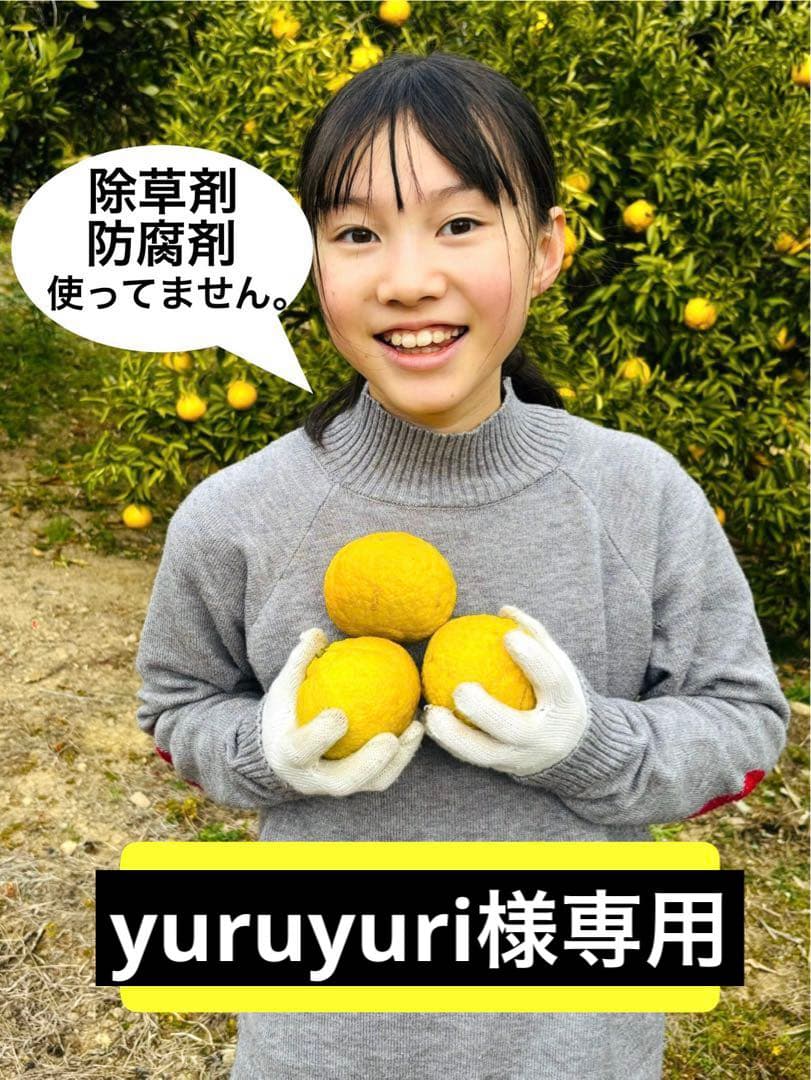 果物 yuruyuri