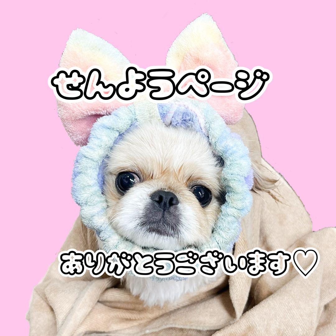 専用ページ ラッピング用品 など詰め合わせ
