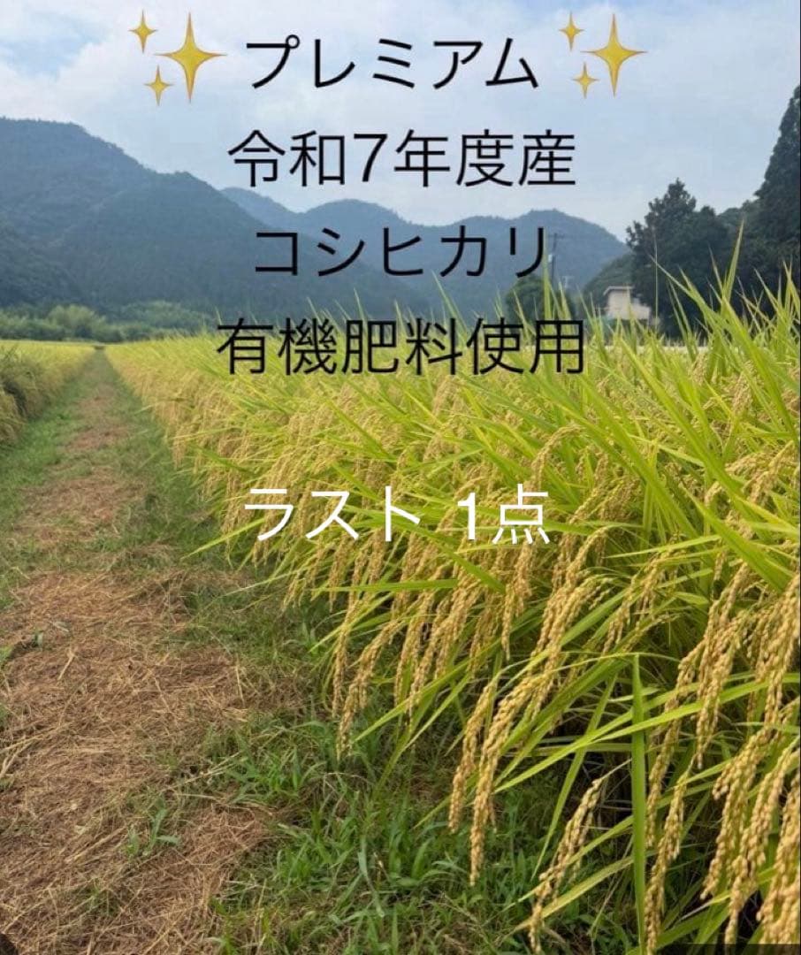 令和7年度愛媛県産コシヒカリ10k 有機肥料で作ったお米　 プレミアム(一等米)