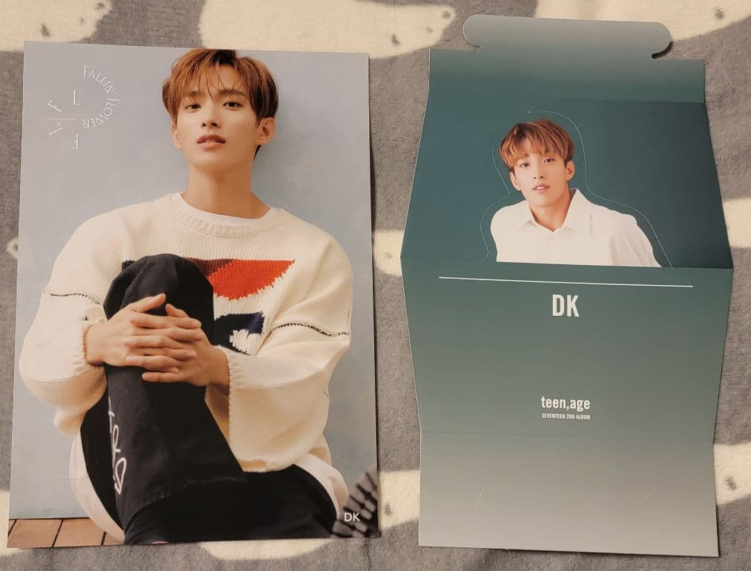 SEVENTEEN ドギョム 241個セット