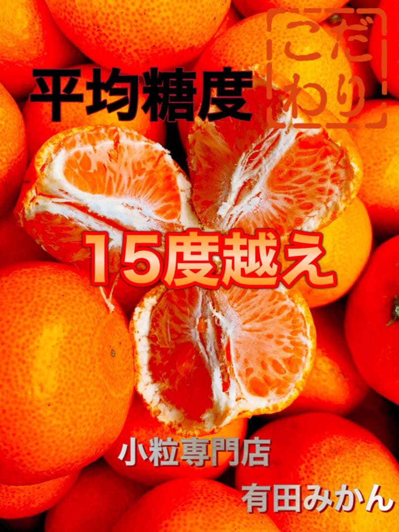 専用出品　ゆうき様　10kg