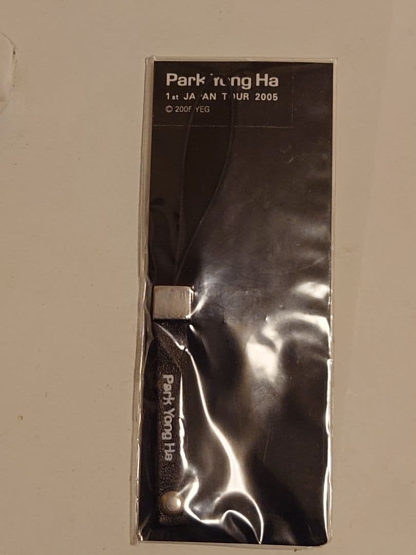 Park Yong Ha 1st JAPAN TOUR 2005 キーホルダー