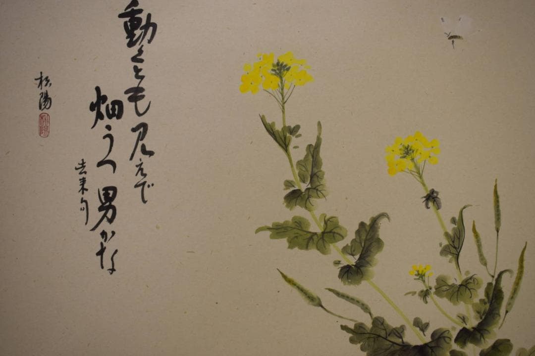 真作/松陽/なの花画賛/桐共箱付/布袋屋掛軸HG-822