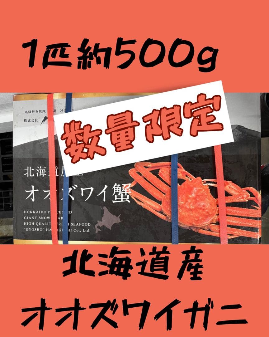 北海道産ボイルオオズワイガニ！特大！期間限定12／26まで！冷凍 3k6匹入り！